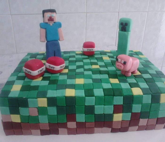 Bolo Minecraft